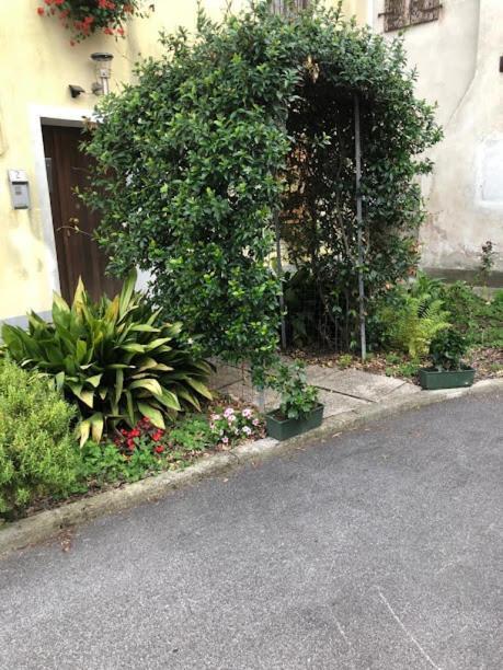 לינה וארוחת בוקר Fraforeano Il Casale Del Miele מראה חיצוני תמונה